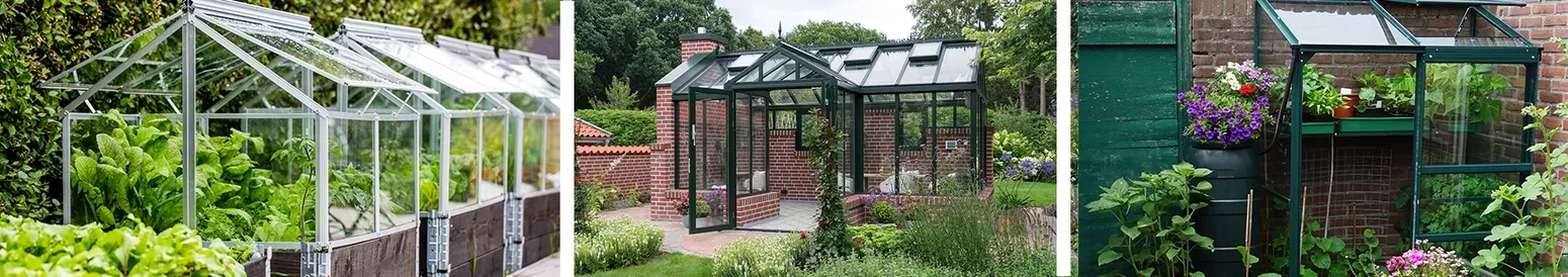 Ein eigenes Gewächshaus – das musst du wissen