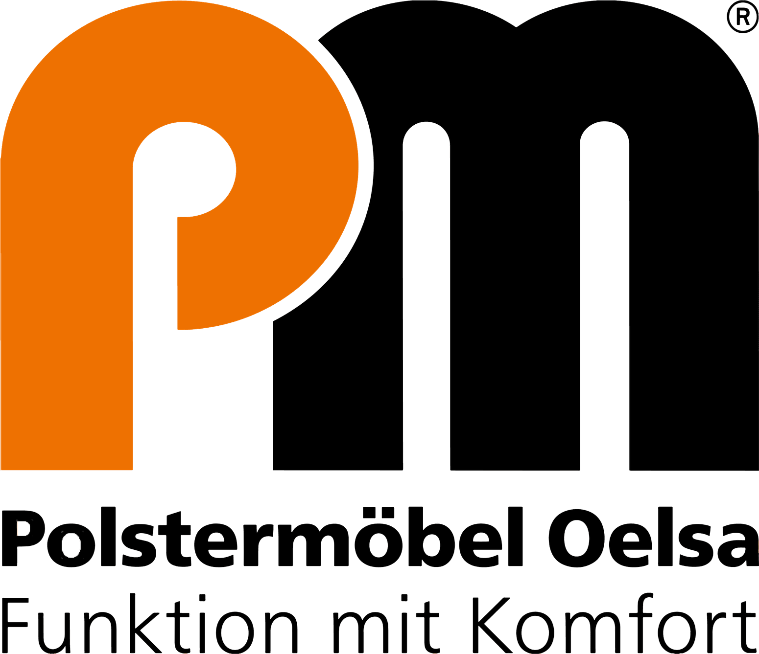 PM Oelsa Logo