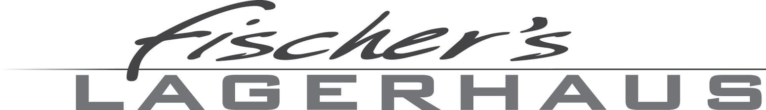 Fischers Lagerhaus Logo