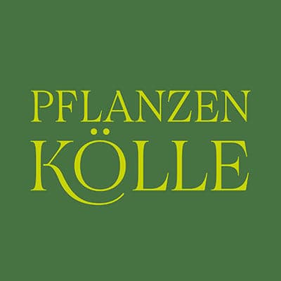 Pflanzen Kölle Logo