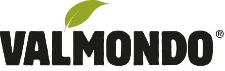 Valmondo Logo
