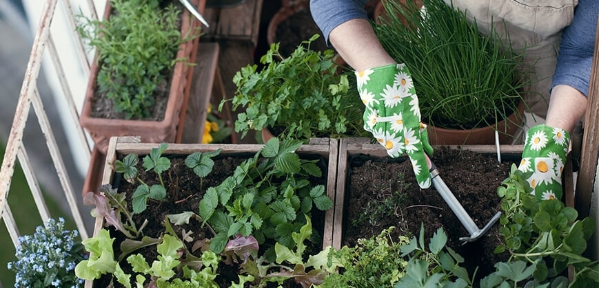 Kräutergarten auf Balkon