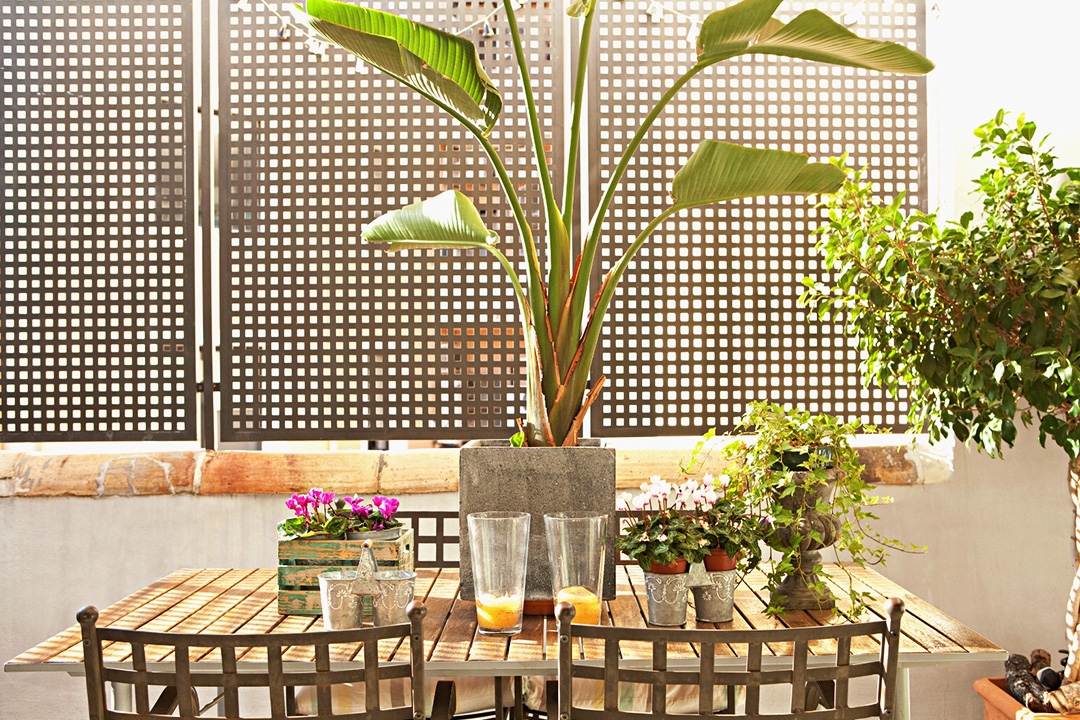 Sichtschutz für den Balkon